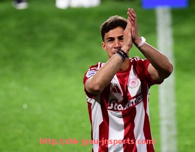 jiuyou九游娱乐-意甲球队出征费用预算情况及财政分布分析